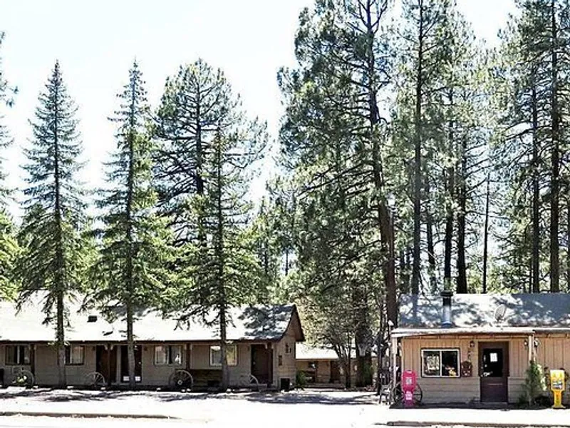 LOGE Camps